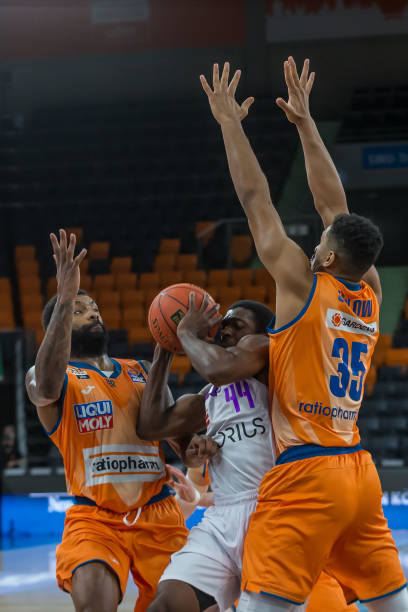 稳定的领袖 稳定的领袖